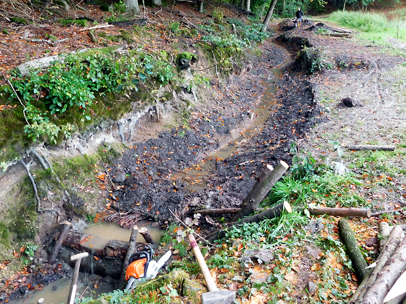 darmuehlenbach oestl sueddorf anhebung und stabilisierung der bachsohle 08