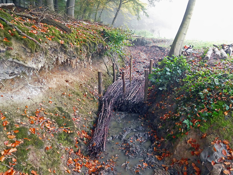 darmuehlenbach oestl sueddorf anhebung und stabilisierung der bachsohle 09