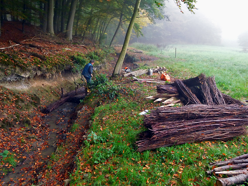 darmuehlenbach oestl sueddorf anhebung und stabilisierung der bachsohle 10