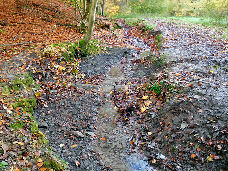 darmuehlenbach oestl sueddorf anhebung und stabilisierung der bachsohle 11