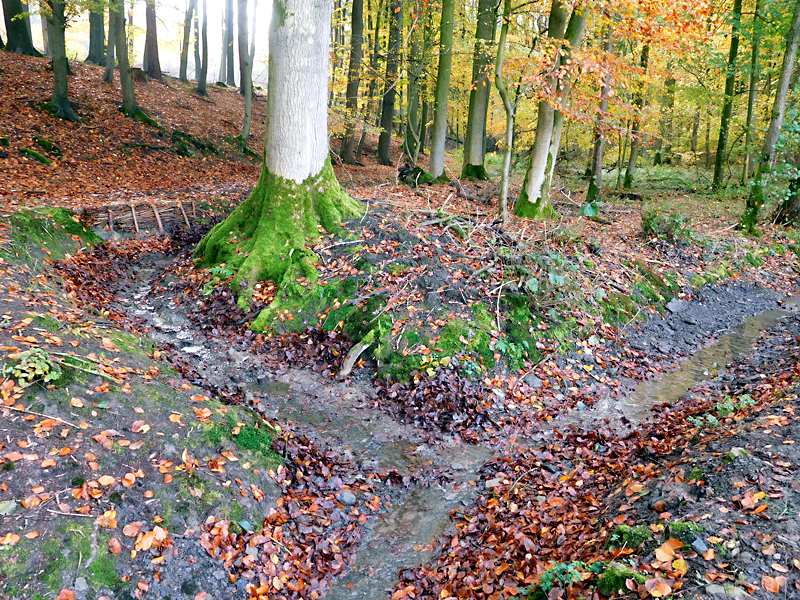 darmuehlenbach oestl sueddorf anhebung und stabilisierung der bachsohle 12