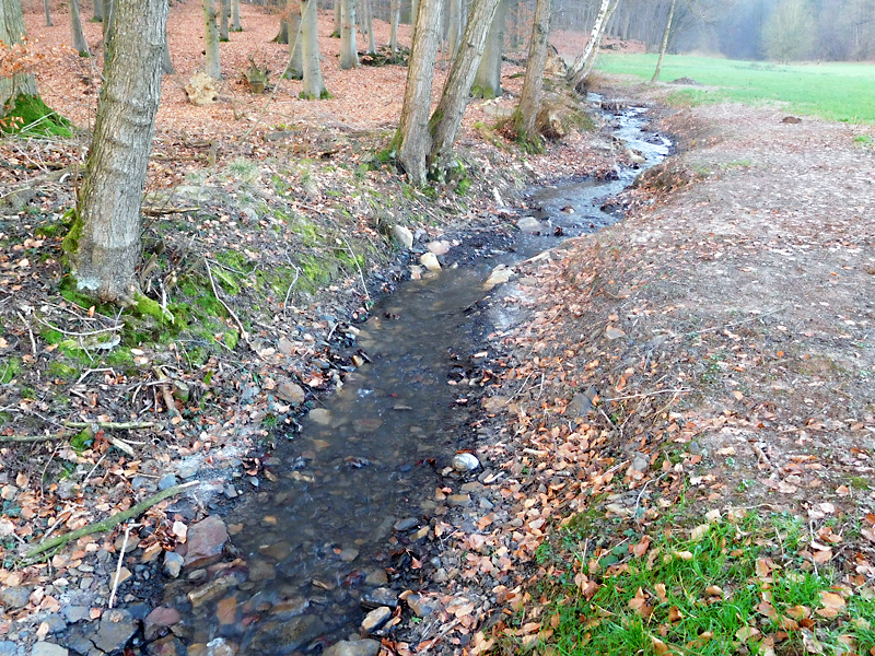 darmuehlenbach oestl sueddorf anhebung und stabilisierung der bachsohle 13