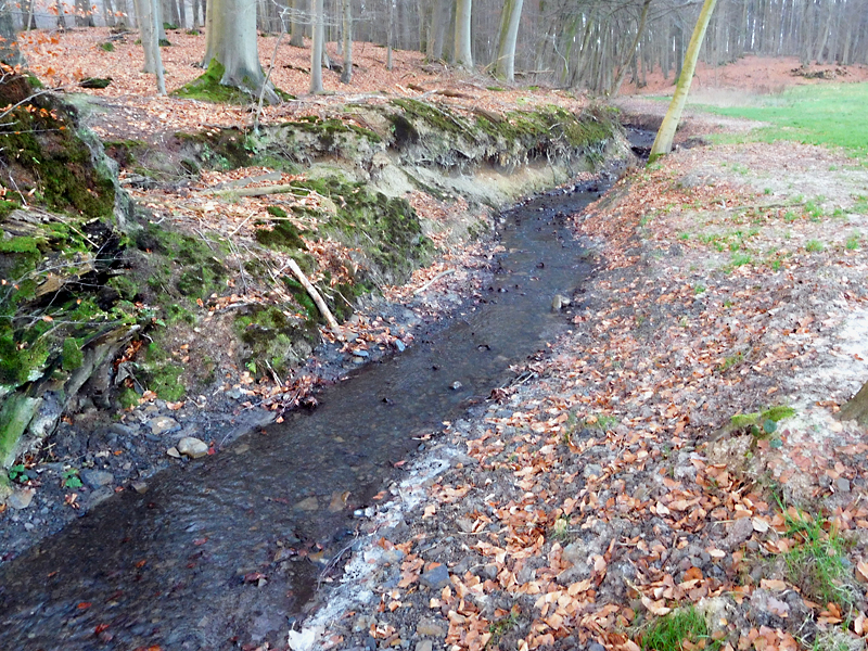 darmuehlenbach oestl sueddorf anhebung und stabilisierung der bachsohle 14