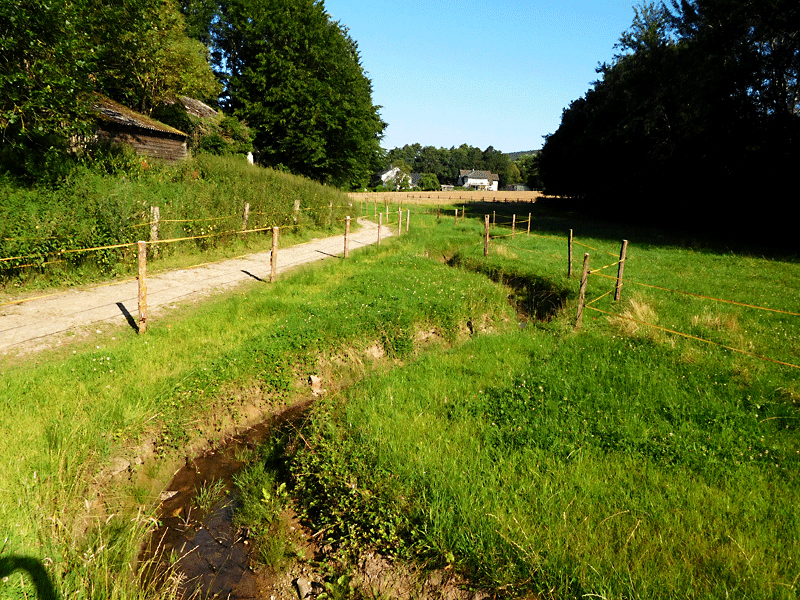 kollbach oestl heerstr bachoffenlegung in die talmitte furten sohlgleite 01