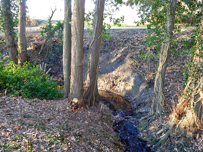 kilverbach oestl im niederfeld bachverlegung in das tal 02