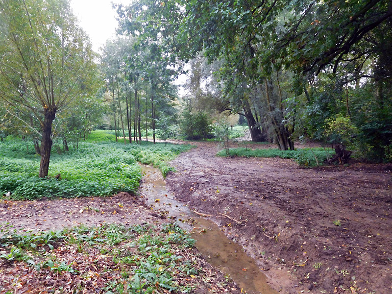 kilverbach oestl im niederfeld bachverlegung in das tal 09