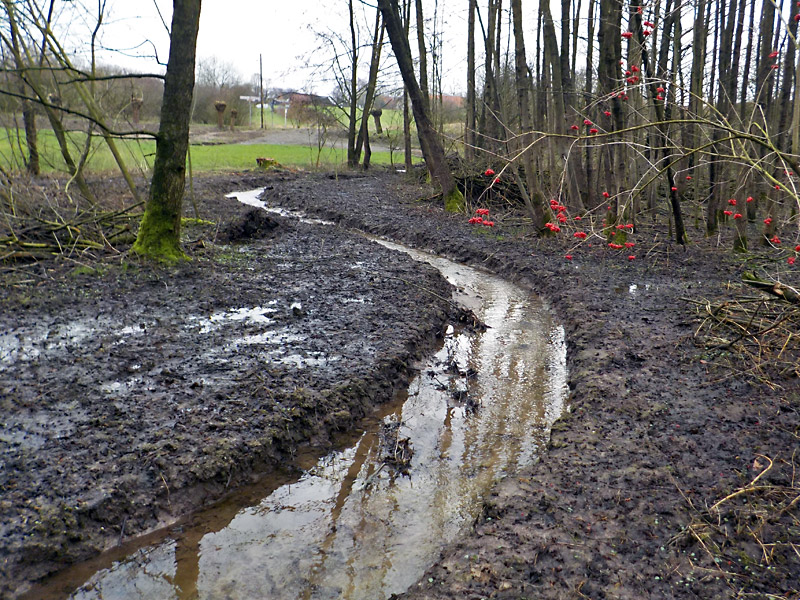 kilverbach westl westkilverstr muehlenfeldstr bachverlegung in die niederung mit treckerfurt und sohlgleite 11