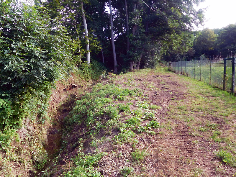 kilverbach nordoestl im niederfeld bachverlegung sohlanhebung sohlgleite 02