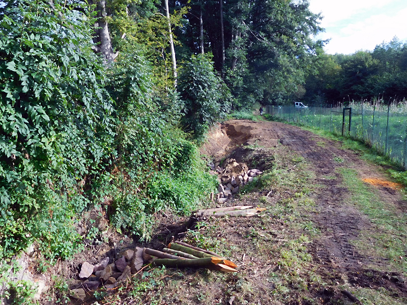 kilverbach nordoestl im niederfeld bachverlegung sohlanhebung sohlgleite 07