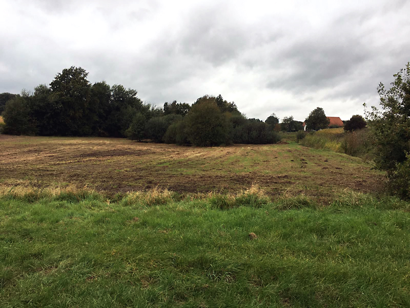 dornmuehlenbach imkracht offenlegung01