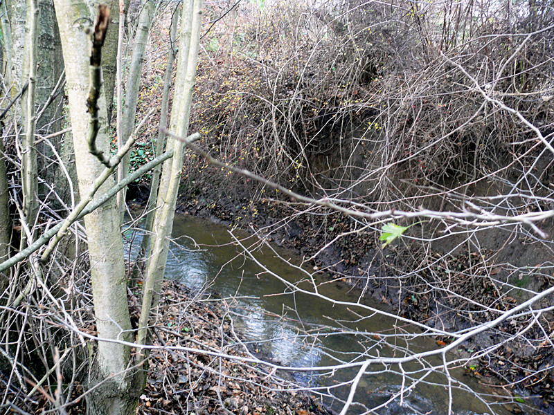 baringer bach spenge lenzinghausen freibad bachverlegung 04