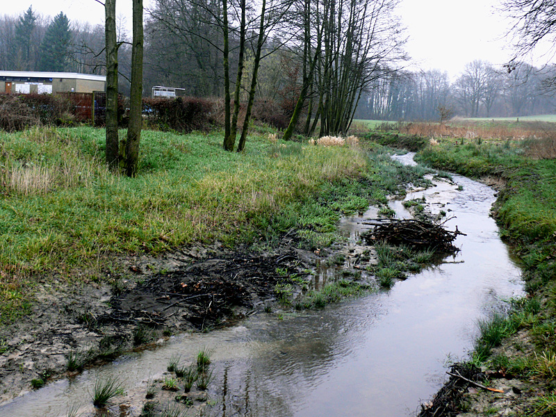 baringer bach spenge lenzinghausen freibad bachverlegung 10