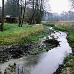 baringer bach spenge lenzinghausen freibad bachverlegung thumb