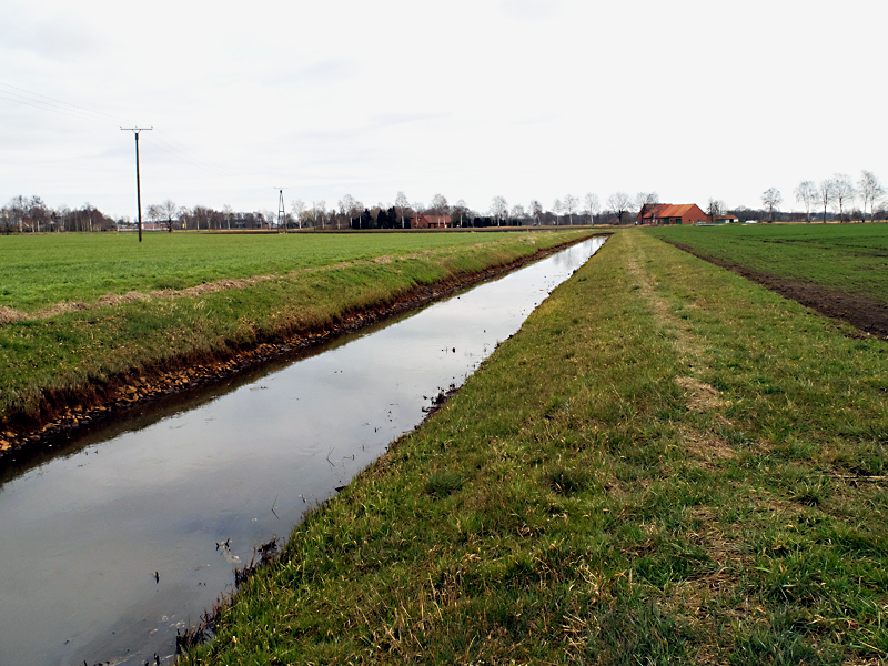 tielger bruchgraben stemwede grenzweg speckendamm neue sekundaeraue 01