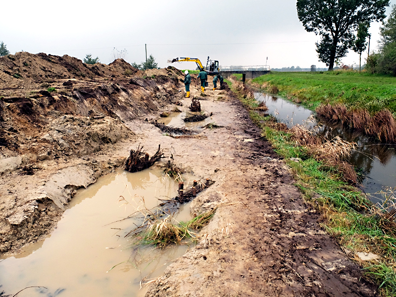 tielger bruchgraben stemwede grenzweg speckendamm neue sekundaeraue 03