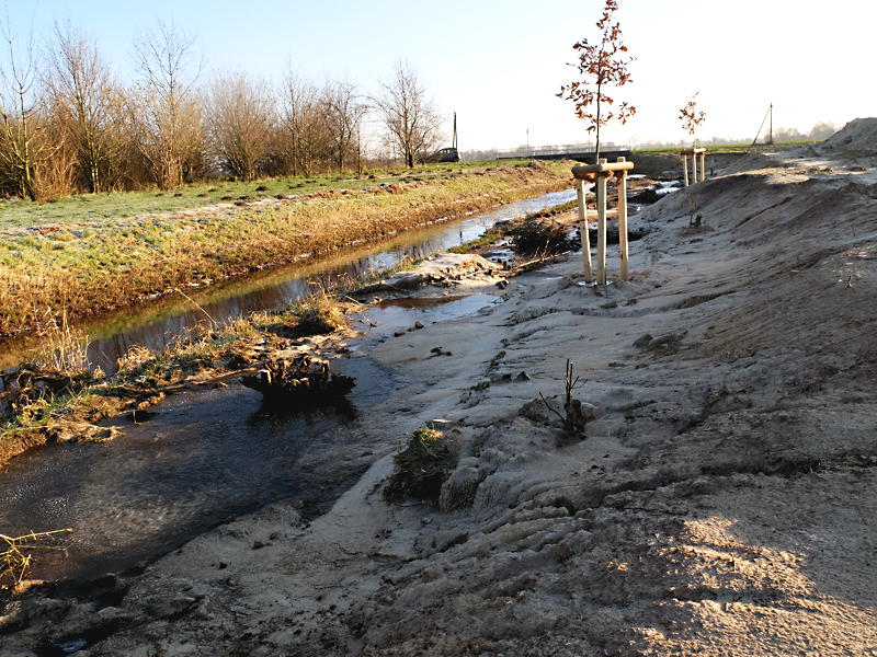 tielger bruchgraben stemwede grenzweg speckendamm neue sekundaeraue 07