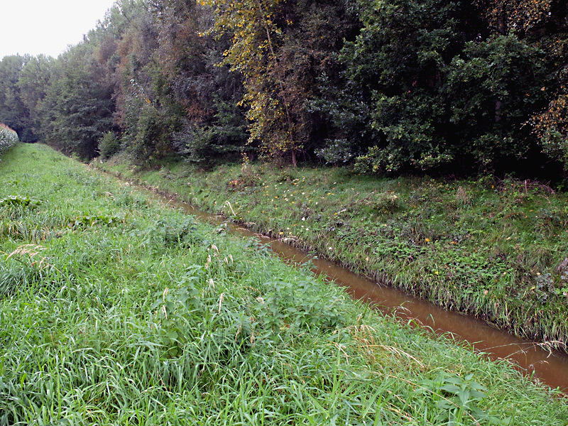 twiehauser bach aufweitung01