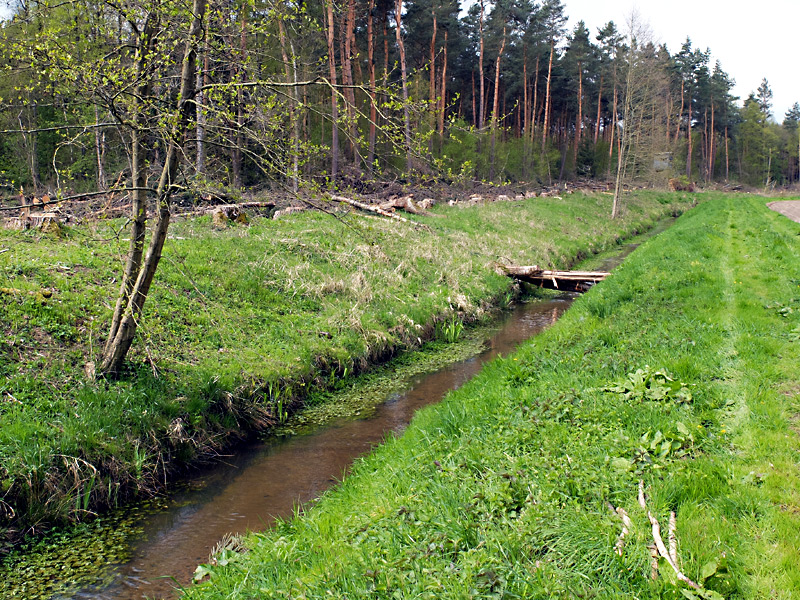 twiehauser bach aufweitung06