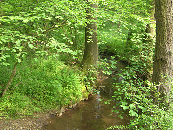 linnenbeeke-kurpark1