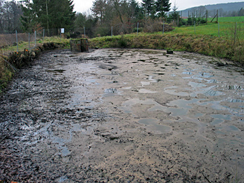 exterbach-fischteiche-02