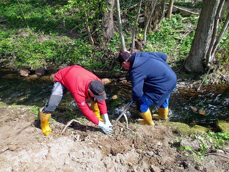 linnenbeeke im kanaan aufweitung naturnahe gestaltung 05